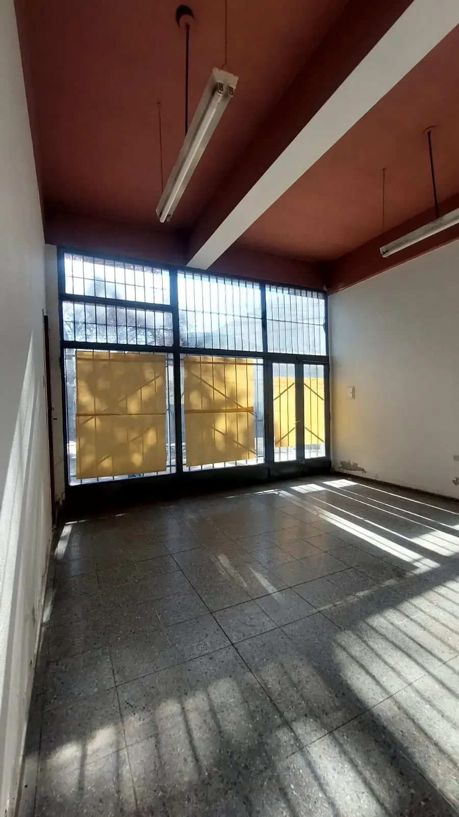 GC CALLE PELLEGRINI LOCAL + DEPTO
