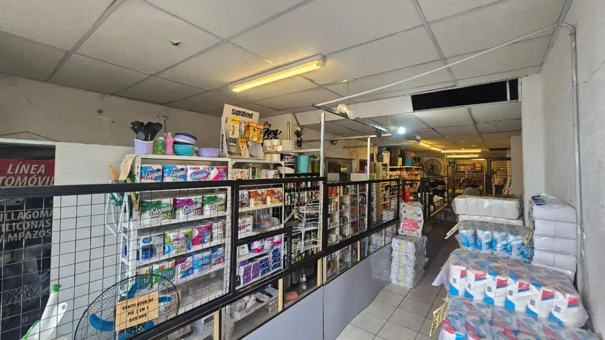 Local Comercial + 2 Galpones + 2 Departamentos