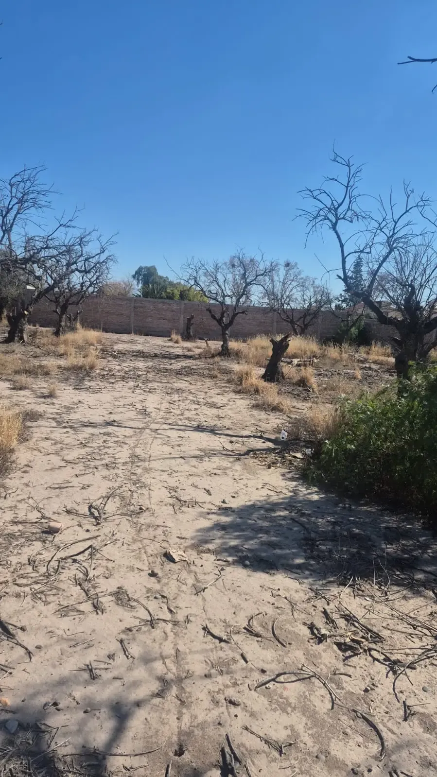 Gran Oportunidad de Inversión en Rodeo de La Cruz