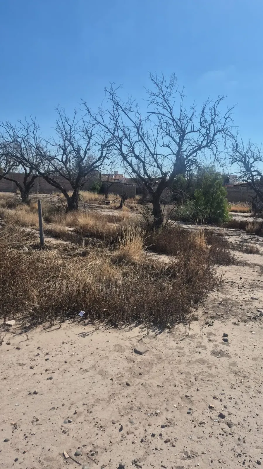 Gran Oportunidad de Inversión en Rodeo de La Cruz