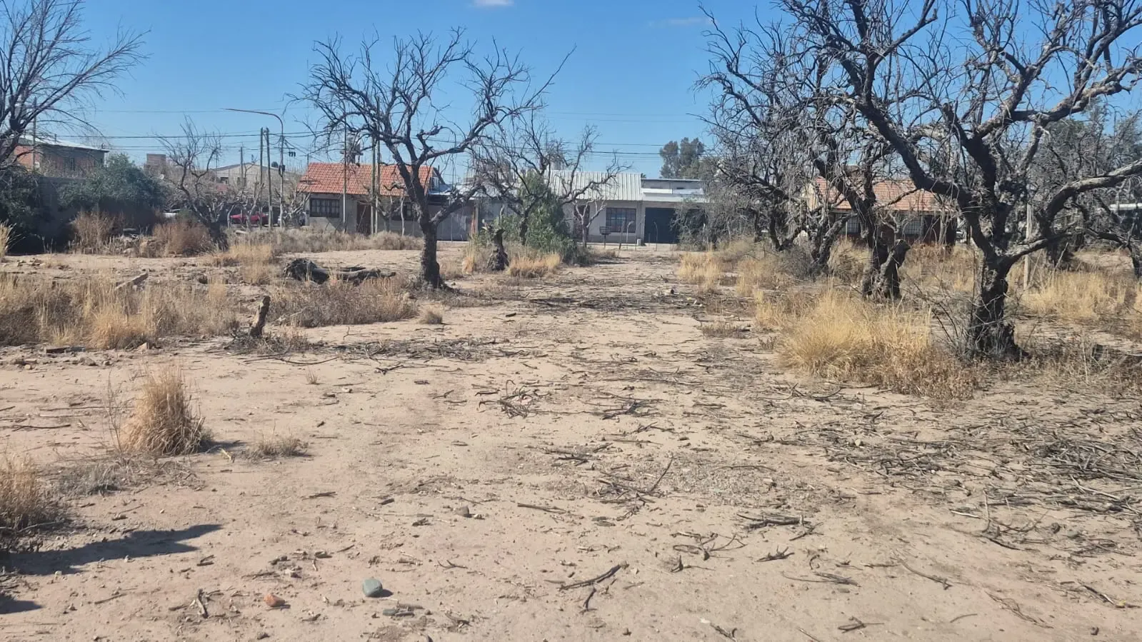 Gran Oportunidad de Inversión en Rodeo de La Cruz